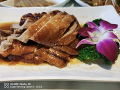 广式烧鹅-多多旺港式茶餐厅(新区店)