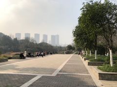 -重庆彩云湖湿地公园