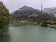 -桃花岭景区