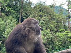 -峨眉山风景名胜区