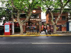 -Boxing Cat Brewery拳击猫精酿啤酒馆(永福店)