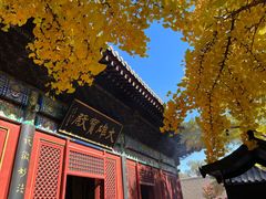 -红螺寺