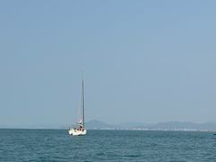 -小猫钓鱼海钓俱乐部(椰梦长廊店)