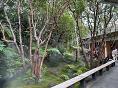 -Chom Cafe and Restaurant