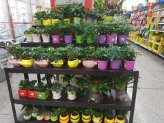 -沃尔玛超市(武侯店)