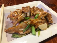 -顺德了能馆(虎门店)