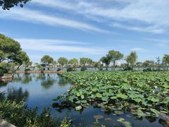 -无锡蠡湖国家湿地公园-蠡园
