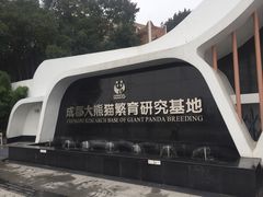 -成都大熊猫繁育研究基地