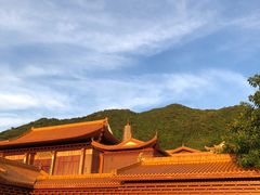 -深圳仙湖植物园