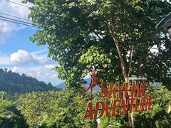 -清迈丛林飞跃 JungleFlight