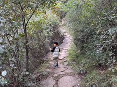 -五龙洞国家森林公园