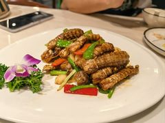 -潮人姐妹轩(海宁路店)