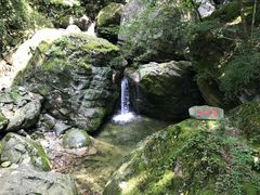 -牛背梁国家森林公园