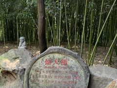 -沂蒙云瀑洞天景区