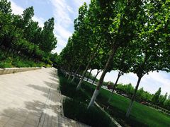 -天津现代职业技术学院