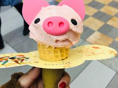-野人先生现做冰淇淋(西安赛格店)