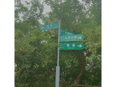 -紫金山山顶公园