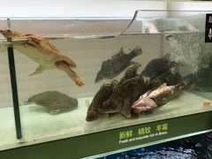 -永辉超市(泰州万达广场店)