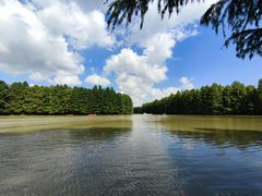 -上海海湾国家森林公园