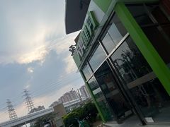 -阳光游泳培训(北苑店)