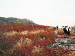 -四明山国家森林公园