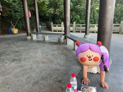 -杭州半山国家森林公园