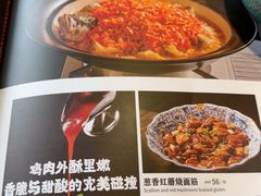 -大鸭梨烤鸭(望京店)