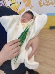 点击看大图 -海豚湾高端月子会所(黄浦店)