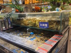 -亚马逊蒸汽活海鲜自助(LCM置汇旭辉广场店)