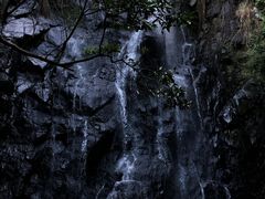 -马峦山郊野公园