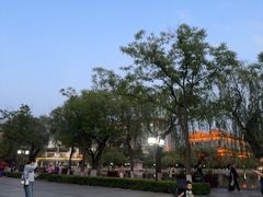 -文瀛公园