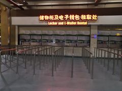 -苏州乐园森林水世界