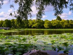 -长春市南湖公园