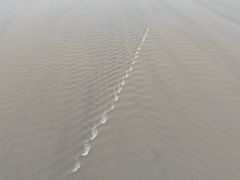 -观潮胜地公园
