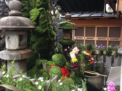-Hōzen-ji Temple法善寺
