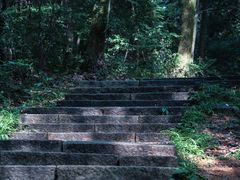 -西湖风景区十里琅珰-五云山