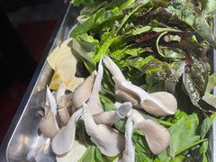 -云鱿记鱿鱼鸡·野生菌火锅(人民南路店)