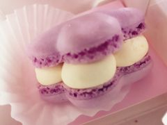 -好利来(旅顺世达店)