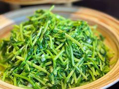 -纯阳•六两酒馆
