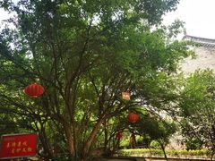 -叶县县衙博物馆景区