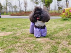 -三垟湿地