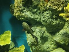 -福州罗源湾海洋世界旅游区