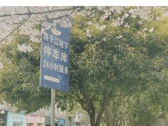 -循礼门鲜花花市(武汉循礼门店)