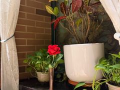 -安德烈俄式西餐厅(中央大街店)