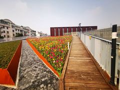 -中共上海市委党校 上海行政学院