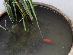 -太平老街-前行美术馆