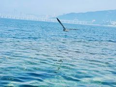 -银沙滩浴场