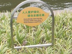 -晓港公园