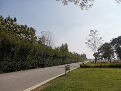 -汉长安城未央宫国家考古遗址公园