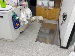 -四月宠物医院·猫专科·心脏专科·内科(转塘店)